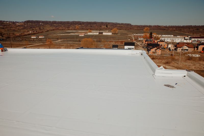 Roof Coating Service