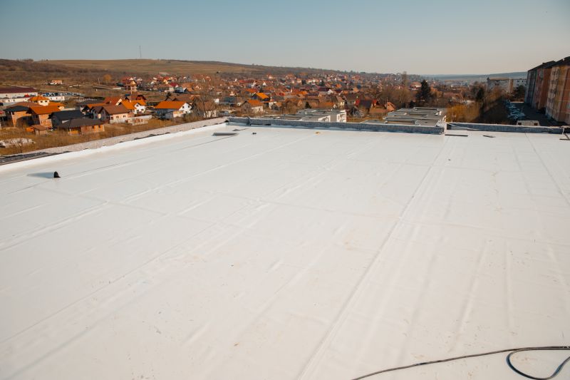 Roof Coating Service
